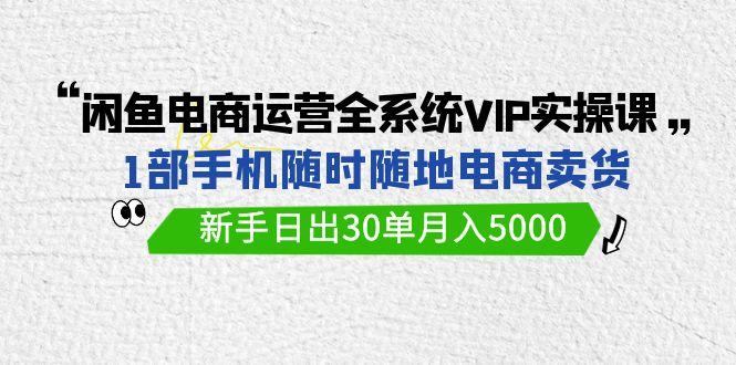 (9547期)闲鱼电商运营全系统VIP实战课，1部手机随时随地卖货，新手日出30单月入5000-桀创项目掘金社