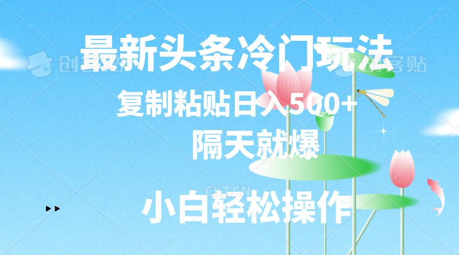 最新头条冷门玩法，隔天就爆，复制粘贴日入500+-桀创项目掘金社