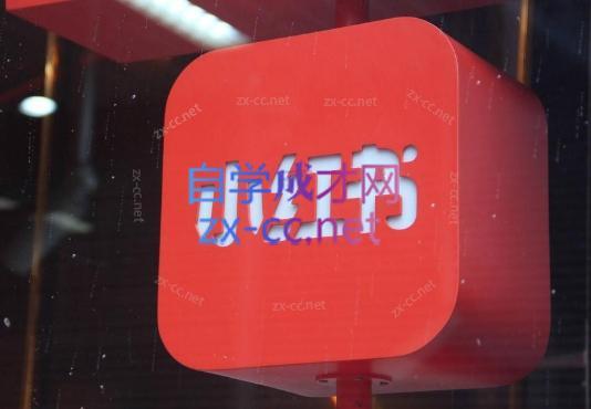 伊伊·红薯【高级班】运营课-桀创项目掘金社