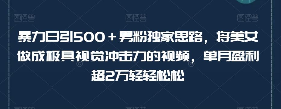 暴力日引500＋男粉独家思路，将美女做成极具视觉冲击力的视频，单月盈利超2万轻轻松松-桀创项目掘金社