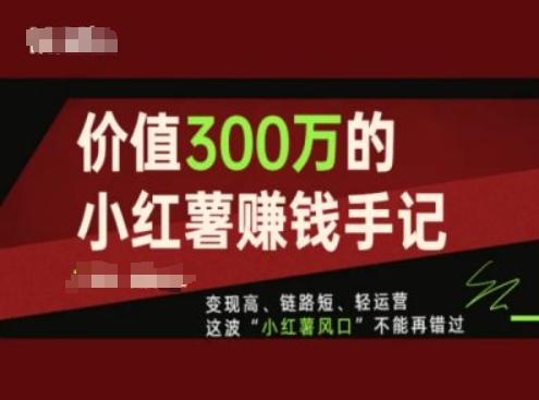 价值300万的小红书赚钱手记，变现高、链路短、轻运营，这波“小红薯风口”不能再错过-桀创项目掘金社