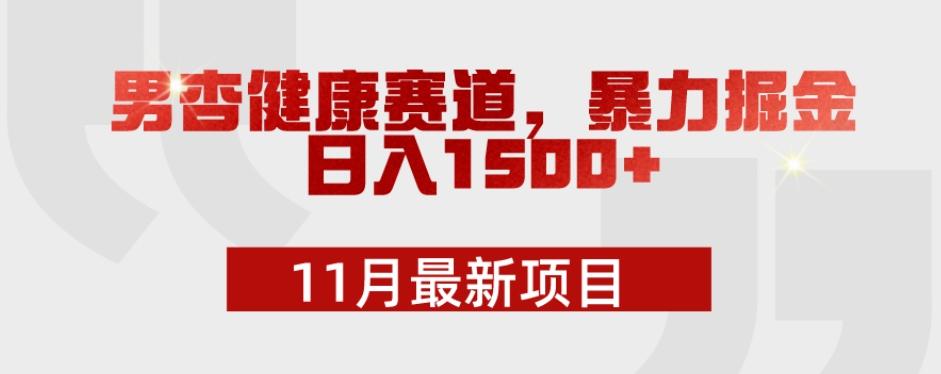 11月最新项目，男杏健康赛道，暴力掘金，日入1500+-桀创项目掘金社