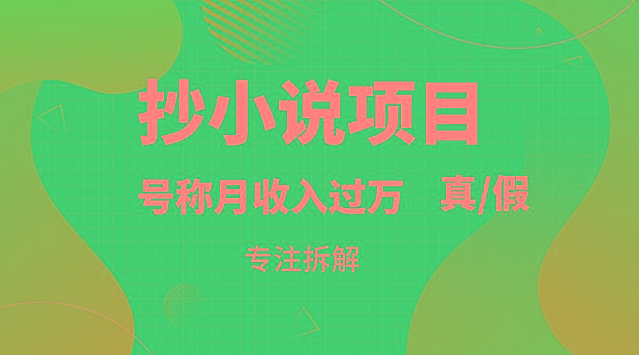 抄小说项目，号称月入过万，到底是否真实，能不能做，详细拆解-桀创项目掘金社
