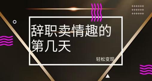 冷门赛道，辞职卖情趣的第几天，超暴力项目-桀创项目掘金社