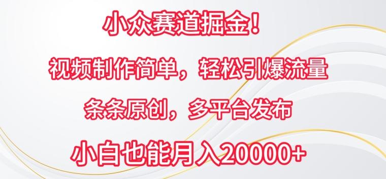 小众赛道掘金，视频制作简单，轻松引爆流量，条条原创，多平台发布【揭秘】-桀创项目掘金社