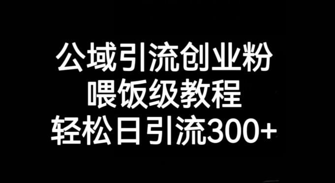 公域引流创业粉，喂饭级教程，轻松日引流300+【揭秘】-桀创项目掘金社
