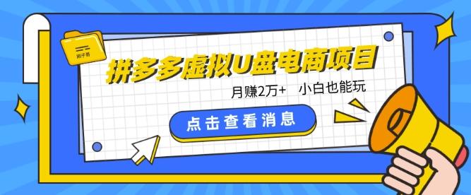 拼多多虚拟U盘电商红利项目：月赚2万+，新手小白也能玩-桀创项目掘金社