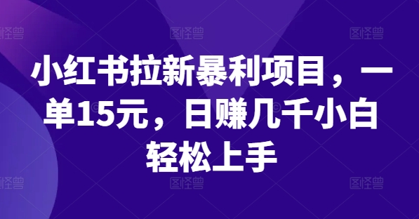 小红书拉新暴利项目，一单15元，日赚几千小白轻松上手【揭秘】-桀创项目掘金社