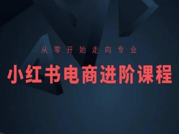 从零开始走向专业，小红书电商进阶课程-桀创项目掘金社