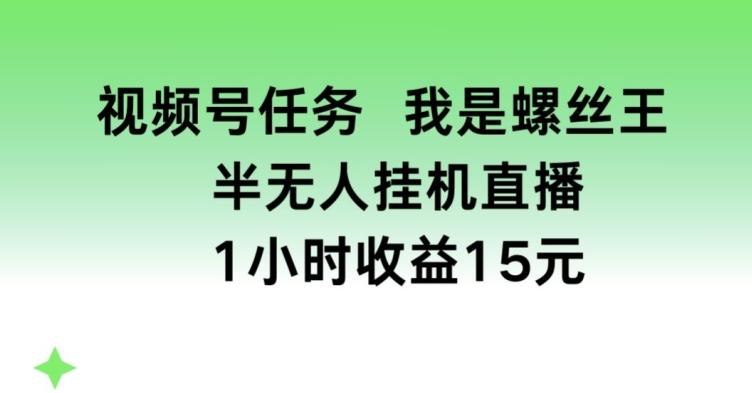 视频号任务，我是螺丝王， 半无人挂机1小时收益15元【揭秘】-桀创项目掘金社