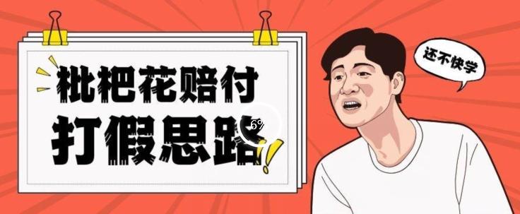 最新打假原料枇杷花赔付玩法一单收益1000+小白轻松下车【详细视频玩法教程】【仅揭秘】-桀创项目掘金社