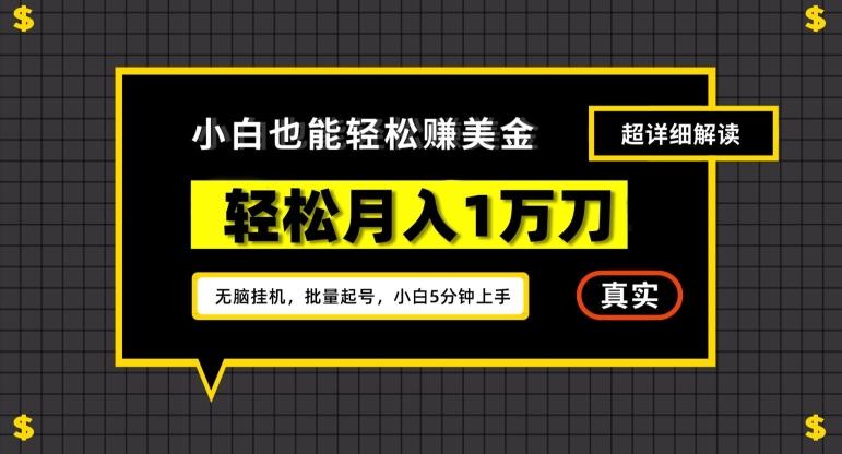 谷歌看广告撸美金2.0，无脑挂机，多号操作，月入1万刀【揭秘】-桀创项目掘金社