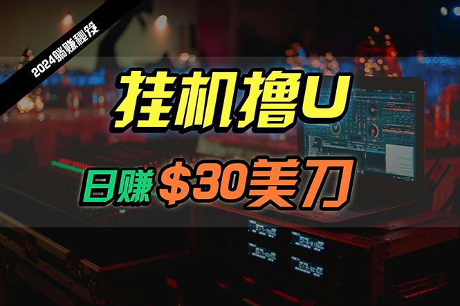 (10013期)日赚30美刀，2024最新海外挂机撸U内部项目，全程无人值守，可批量放大-桀创项目掘金社