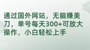 通过国外网站，无脑赚美刀，单号每天300+可放大操作，小白轻松上手【揭秘】-桀创项目掘金社