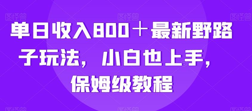 单日收入800＋最新野路子玩法，小白也上手，保姆级教程-桀创项目掘金社