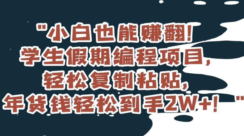 小白也能赚翻！学生假期编程项目，轻松复制粘贴，年货钱轻松到手2W+【揭秘】-桀创项目掘金社