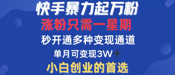 快手暴力起万粉，涨粉只需一星期，多种变现模式，直接秒开万合，单月变现过W【揭秘】-桀创项目掘金社