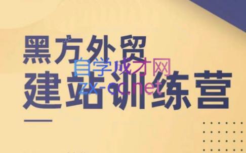 黑方老师·谷歌B端独立站建站推广-桀创项目掘金社