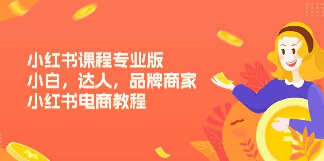 小红书课程专业版，小白，达人，品牌商家，小红书电商教程(15节-桀创项目掘金社