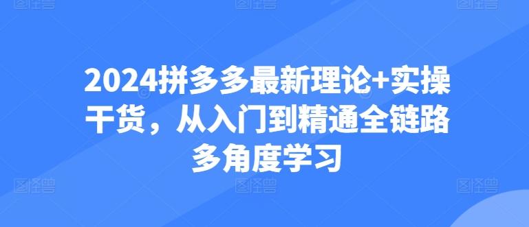 2024拼多多最新理论+实操干货，从入门到精通全链路多角度学习-桀创项目掘金社