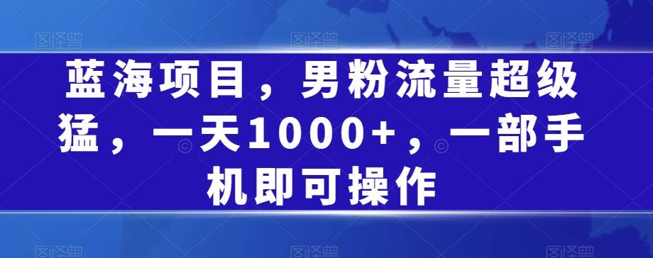 蓝海项目，男粉流量超级猛，一天1000+，一部手机即可操作【揭秘】-桀创项目掘金社