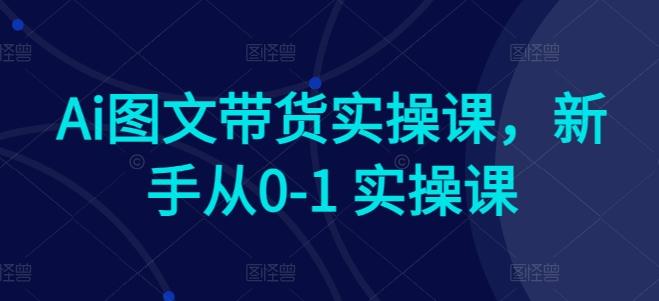 Ai图文带货实操课，新手从0-1 实操课-桀创项目掘金社