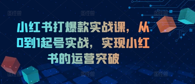 小红书打爆款实战课，从0到1起号实战，实现小红书的运营突破-桀创项目掘金社