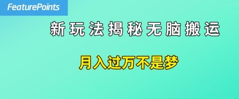 简单操作，每天50美元收入，搬运就是赚钱的秘诀【揭秘】-桀创项目掘金社