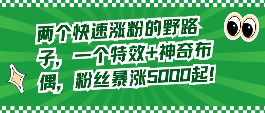 两个快速涨粉的野路子，一个特效+神奇布偶，粉丝暴涨5000起【揭秘】-桀创项目掘金社