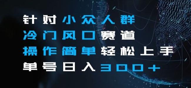 针对小众人群冷门风口赛道，操作简单轻松上手单号日入300+-桀创项目掘金社