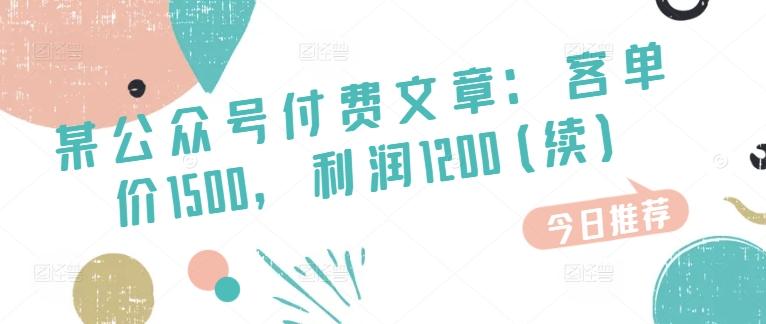 某公众号付费文章：客单价1500，利润1200(续)，市场几乎可以说是空白的-桀创项目掘金社