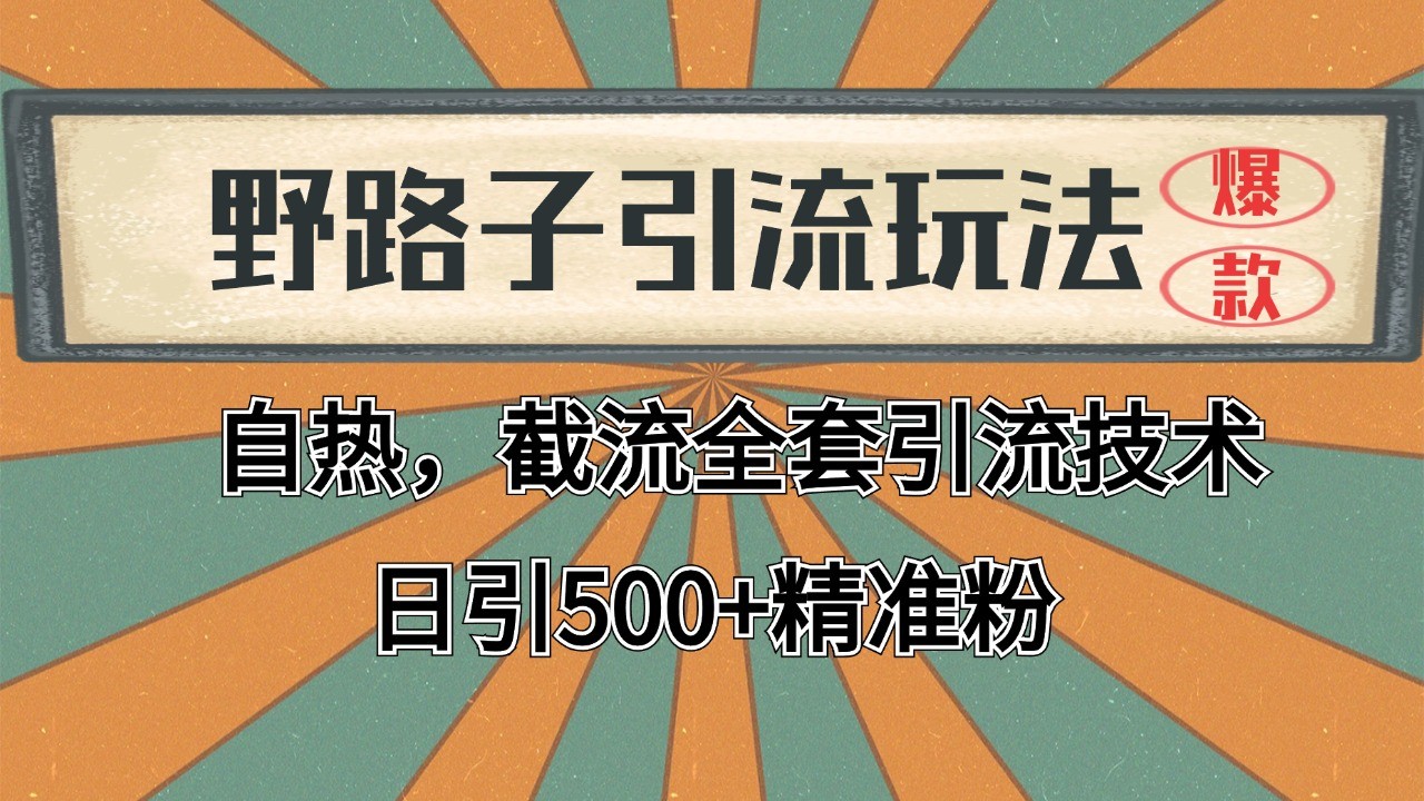 抖音小红书视频号全平台引流打法，全自动引流日引2000+精准客户-桀创项目掘金社