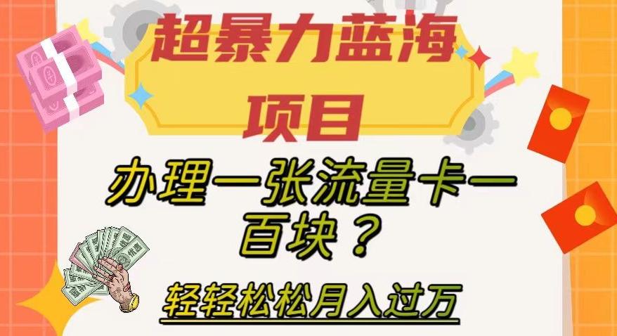 超暴力蓝海项目，办理一张流量卡一百块？轻轻松松月入过万，保姆级教程【揭秘】-桀创项目掘金社