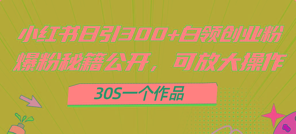 小红书日引300+高质白领创业粉，可放大操作，爆粉秘籍！30s一个作品-桀创项目掘金社