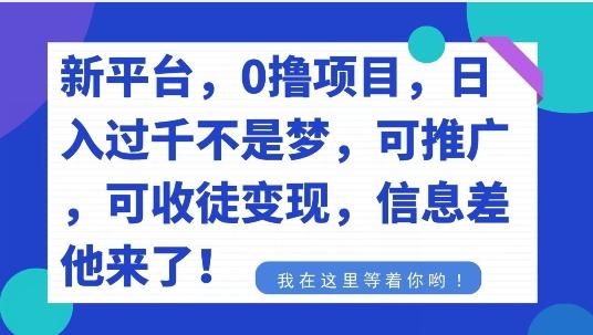 不要再花冤枉钱了，0撸项目，每天坚持，稳定1000+-桀创项目掘金社