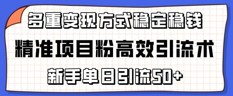 精准项目粉高效引流术，新手单日引流50+，多重变现方式稳定赚钱【揭秘】-桀创项目掘金社
