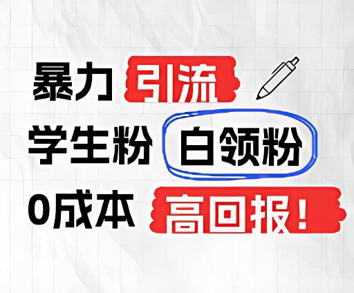 暴力引流学生粉白领粉，吊打以往垃圾玩法，0成本，高回报-桀创项目掘金社