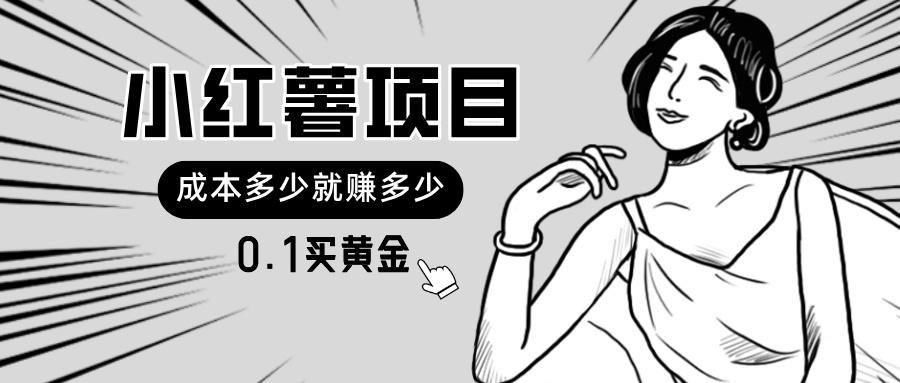 小红薯暴力项目，0.1买黄金。操作简单，日入无上限，可无限扩大。-桀创项目掘金社