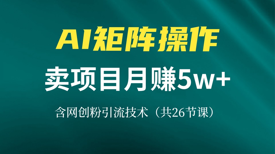 网创IP打造课，借助AI卖项目月赚5万+，含引流技术(共26节课-桀创项目掘金社