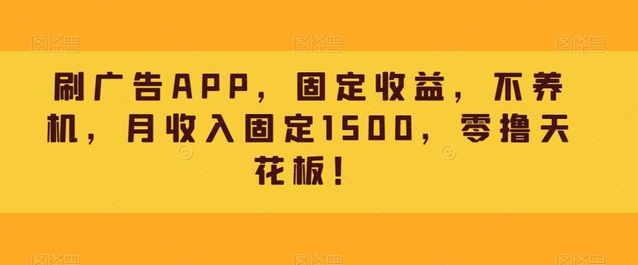 刷广告APP，固定收益，不养机，月收入固定1500，零撸天花板！-桀创项目掘金社