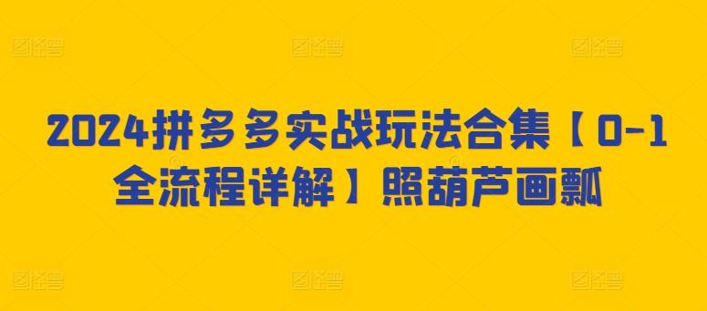 2024拼多多实战玩法合集【0-1全流程详解】照葫芦画瓢-桀创项目掘金社