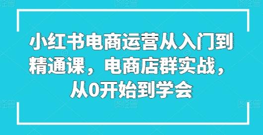小红书电商运营从入门到精通课，电商店群实战，从0开始到学会-桀创项目掘金社