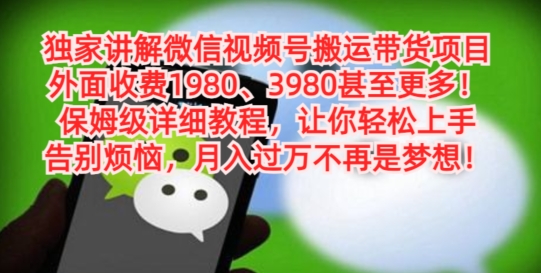 独家讲解微信视频号搬运带货项目，保姆级详细教程-桀创项目掘金社