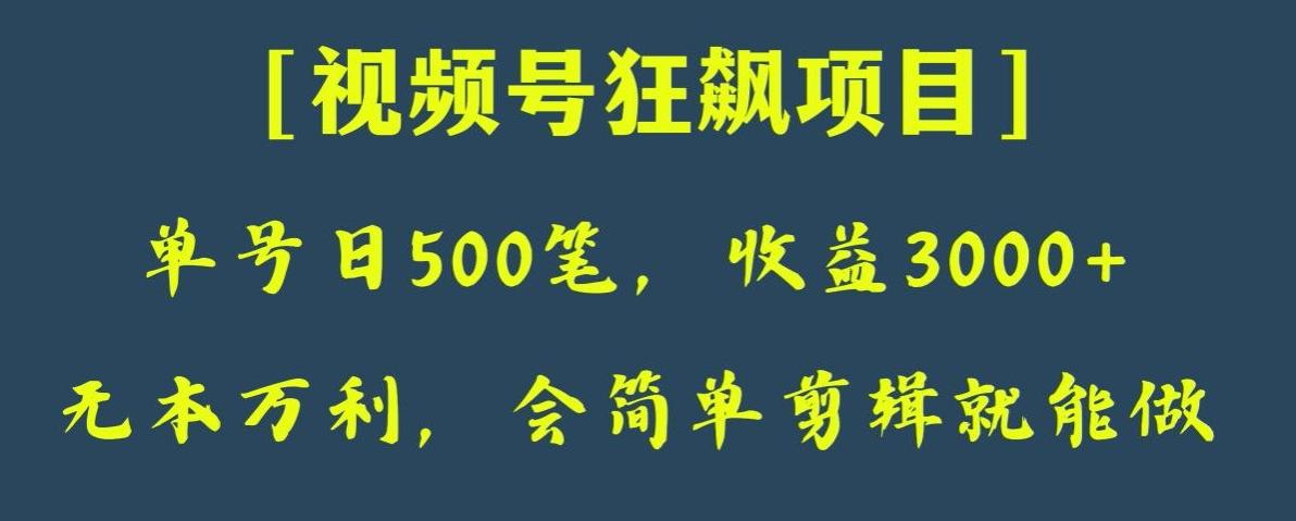 日收款500笔，纯利润3000+，视频号狂飙项目，会简单剪辑就能做【揭秘】-桀创项目掘金社
