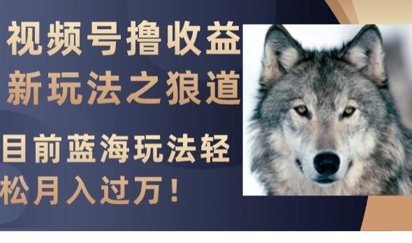 视频号撸收益新玩法之狼道，目前蓝海玩法，轻松月入过万【揭秘】-桀创项目掘金社