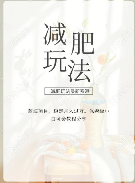 减肥流量主新玩法，轻松月入1W，可矩阵操作收入翻倍-桀创项目掘金社