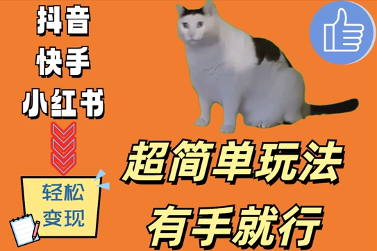超简单玩法，有手就行，靠猫咪视频日入500+【揭秘】-桀创项目掘金社