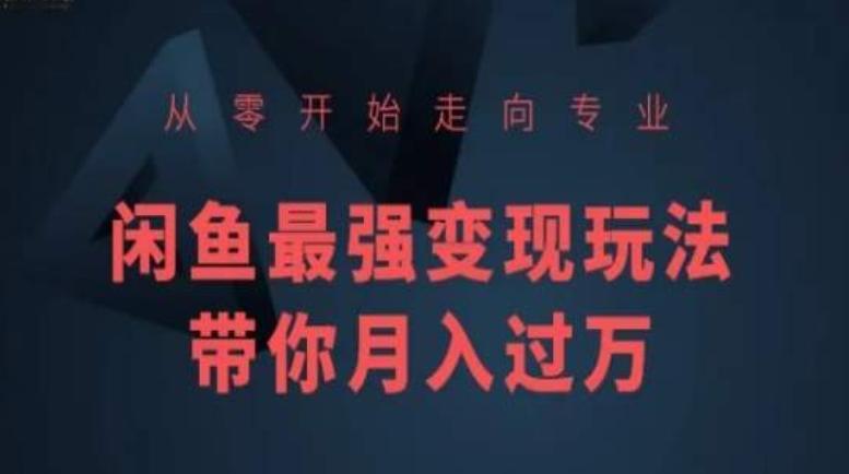 从零开始走向专业，闲鱼最强变现玩法带你月入过万-桀创项目掘金社