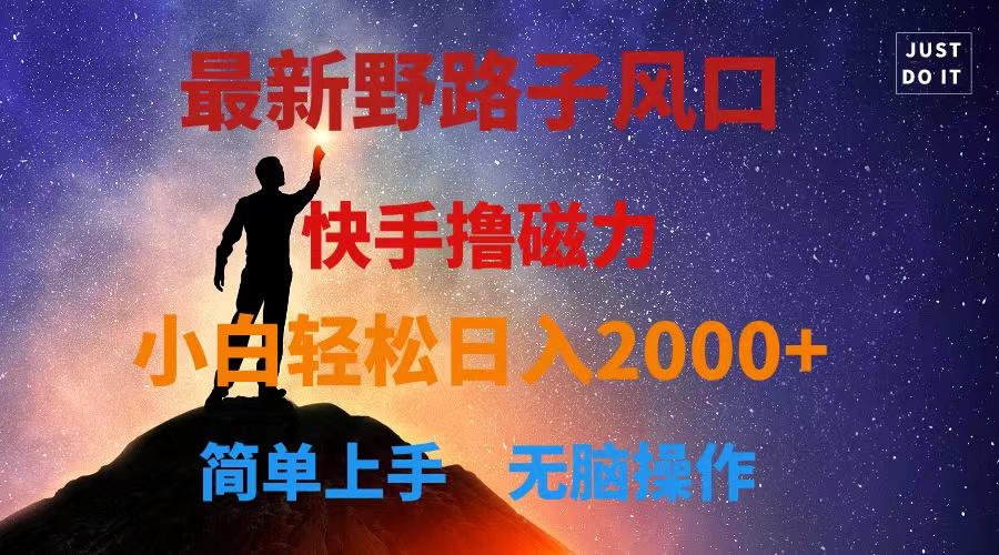 最新风口！快手撸磁力，野路子，小白无脑操作日入2000+-桀创项目掘金社