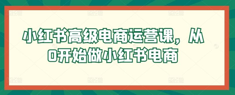 小红书高级电商运营课，从0开始做小红书电商-桀创项目掘金社